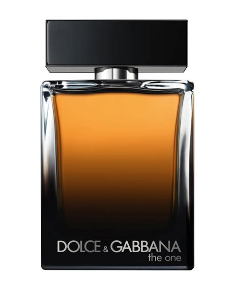 dolce & gabbana the one for men.